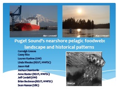 Puget Sound's nearshore pelagic foodweb: landscape and historical patterns