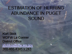 Estimation of herring abundance in Puget Sound