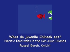 What do juvenile Chinook eat? Neritic food webs in the San Juan Islands