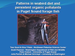  Patterns in seabird diet and persistent organic pollutants in Puget Sound forage fish