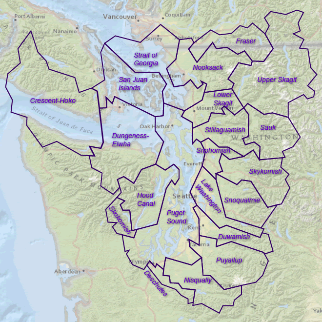 map showing the 21 watershed sub-basins in Puget Sound