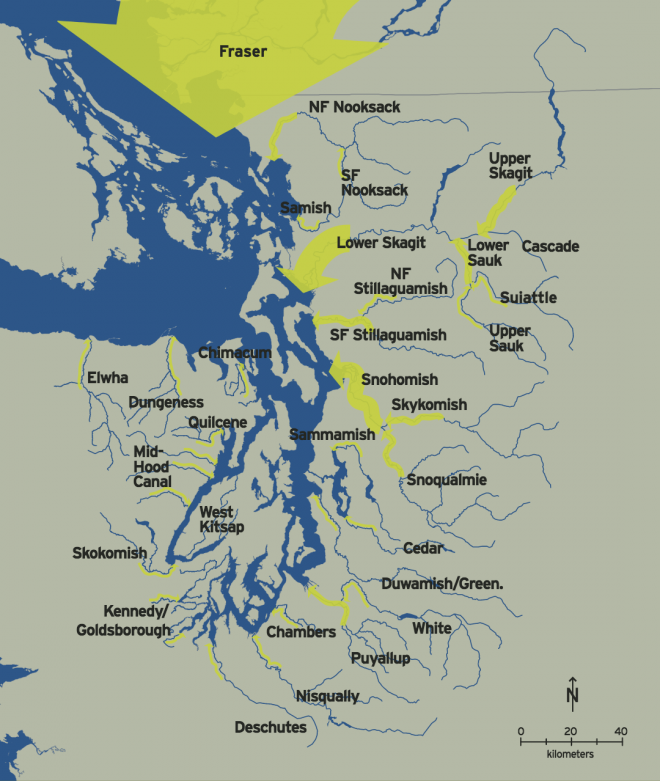 Annual freshwater inflows from Puget Sound rivers are one of the major drivers of marine circulation patterns. Width of arrows indicates the average volume of annual fresh water flows from Puget Sound streams.