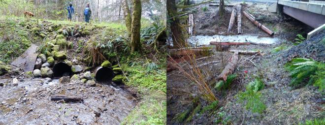Before and after photo of a recently completed culvert replacement project in Clallam County. Photos courtesy of the Puget Sound Partnership State of the Sound report.