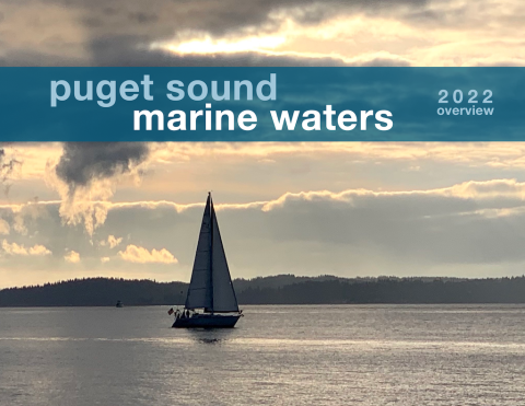Report cover Image of a sailboat on the water at sunset.Text overlay reads: Puget Sound Marind Waters 2022 Overview.