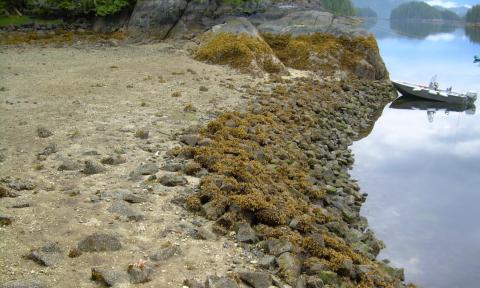 Shoreline composed of a human-made rock wall next to water with a small boat tied to the shore.