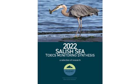 Report cover Cover of 2022 Salish Sea toxics monitoring synthesis: A selection of research