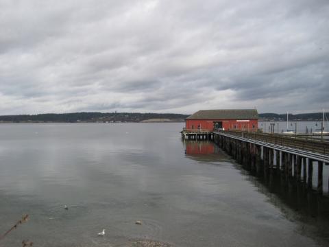 Coupeville Wharf at Penn Cove, Whidbey Island. Penn Cove is one of the most productive shellfish-growing locations on the U.S. West Coast. Scientists are monitoring oxygen levels here as the climate warms and pressures from human development continue. Photo: Jason Walsh (CC BY 2.0) A red boathouse extends from a wooden pier over calm, misty waters with forested shorelines under an overcast sky.