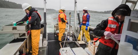 Ecology's Marine Sediment Monitoring Team in action. Ecology's Marine Sediment Monitoring Team in action.