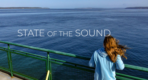 Image from State of the Sound Report website Image from State of the Sound Report website