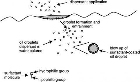 Figure 1. Chemical dispersants are designed to increase the formation of oil droplets that become entrained in the water column1. This is Figure 3-1 from NRC (2005).