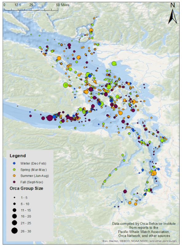Map for all 2018 Bigg’s killer whale 2018 sightings in the Salish Sea, primarily reported by Orca Network and the Pacific Whale Watch Association. Data compiled and mapped by the Orca Behavior Institute.
