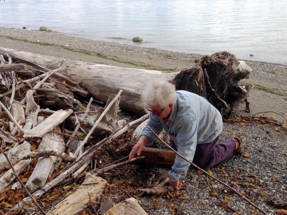 Pat Collier digs down into her upper beach, where driftwood provides a home for tiny invertebrates that feed a variety of fish and birds. Photo: Christopher Dunagan/Puget Sound Institute