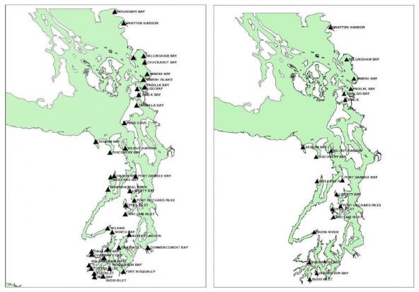 Historic distribution of Olympia oysters circa 1850 (left) and 19 current restoration sites (right) in Puget Sound. Maps: Brady Blake and Alex Bradbury/WDFW