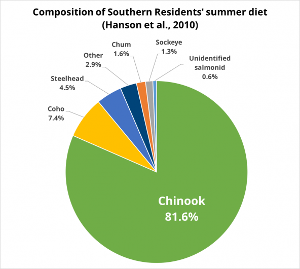 Scientists collected individual prey samples in the Southern Residents' summer range, including the Western Juan de Fuca Strait and San Juan Island, from May to September 2004-2008. More than 80% of the killer whales' summer diet is Chinook salmon (Hanson et al., 2010). Chart: Kris Symer, PSI More than 80% of Southern Resident killer whales' summer diet is Chinook salmon (Hanson et al., 2010). Chart: Kris Symer, PSI